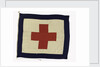 House flag, Rowland & Marwoods Steam Ship Co. by unknown