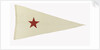 House flag, Bombay Steam Navigation Co. Ltd by unknown