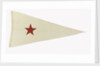 House flag, Bombay Steam Navigation Co. Ltd by unknown