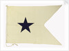 House flag, Bristol City Line of Steamships Ltd by unknown
