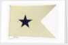 House flag, Bristol City Line of Steamships Ltd by unknown