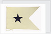 House flag, Bristol City Line of Steamships Ltd by unknown
