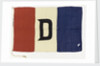 House flag, Donaldson Line Ltd by unknown
