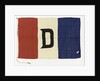 House flag, Donaldson Line Ltd by unknown