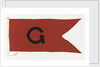 House flag, Guinness Co. by unknown