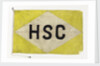 House flag, Hadley Shipping Co. Ltd by unknown