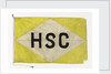 House flag, Hadley Shipping Co. Ltd by unknown