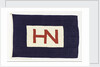 House flag, Hain Nourse Management Ltd by unknown