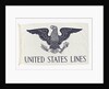 House flag, United States Lines Co. by unknown