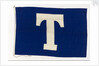 House flag, Tavistock Shipping Co. by unknown