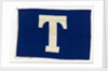House flag, Tavistock Shipping Co. by unknown