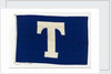 House flag, Tavistock Shipping Co. by unknown