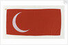 House flag, London & Rochester Trading Co. by Unknown