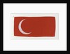 House flag, London & Rochester Trading Co. by Unknown