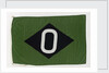 House flag, Oregon Steamship Co. Ltd by unknown