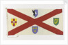 House flag, Irish Shipping Ltd by unknown