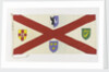 House flag, Irish Shipping Ltd by unknown