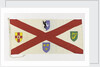 House flag, Irish Shipping Ltd by unknown