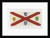 House flag, Irish Shipping Ltd by unknown