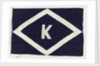 House flag, Kaye Son & Co. by unknown