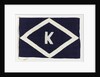 House flag, Kaye Son & Co. by unknown