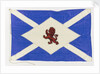 House flag, Scottish Tanker Co. Ltd by unknown