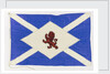 House flag, Scottish Tanker Co. Ltd by unknown