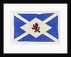 House flag, Scottish Tanker Co. Ltd by unknown