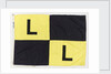 House flag, Link Line Ltd by unknown