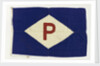 House flag, Purvis Shipping Co. Ltd by unknown