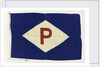 House flag, Purvis Shipping Co. Ltd by unknown
