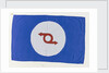 House flag, Western Ferries (Clyde) Ltd by unknown