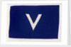 House flag, Societa Italiana Trasporti Marittimi by unknown