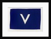 House flag, Societa Italiana Trasporti Marittimi by unknown