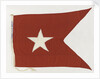 House flag, Thesen's Steam Ship Co. Ltd by unknown
