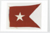 House flag, Thesen's Steam Ship Co. Ltd by unknown