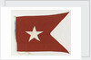 House flag, Thesen's Steam Ship Co. Ltd by unknown