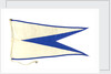 House flag, Atlantic Steam Navigation Co. Ltd by unknown