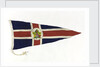 House flag, Canadian National Steamships by unknown