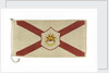House flag, Saint Line Ltd (America) by unknown