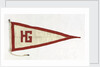 House flag, Hull Gates Shipping Co. Ltd by unknown