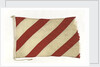 House flag, Orkney Steam Navigation Co. by unknown