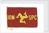 House flag, Isle of Man Steam Packet Co. Ltd by unknown