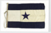 House flag, Asiatic Steam Navigation Co. Ltd by unknown
