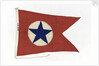 House flag, Blue Star Line Ltd by unknown