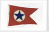 House flag, Blue Star Line Ltd by unknown