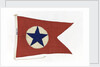 House flag, Blue Star Line Ltd by unknown