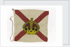 House flag, Royal Mail Steam Packet Co. by unknown