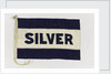 House flag, Silver Line Ltd by unknown