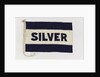 House flag, Silver Line Ltd by unknown